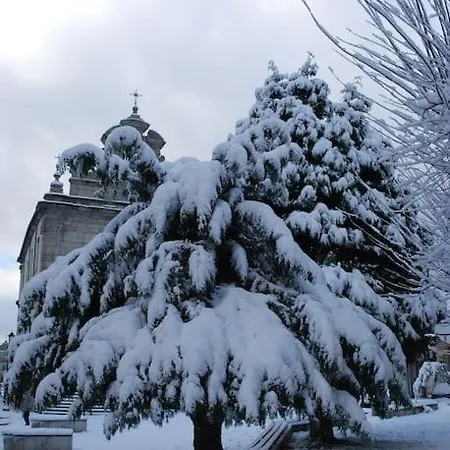 Elvira アパート セッラ・サン・ブルーノ