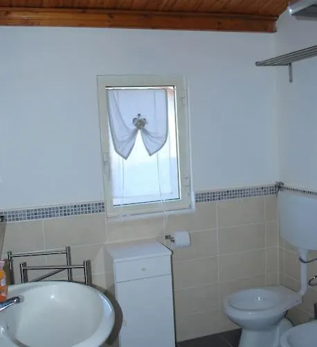 Elvira 塞拉圣布鲁诺